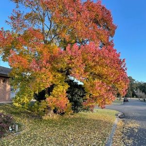 Meet your Posher, Yin